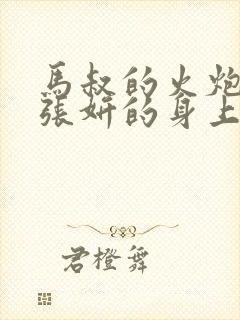 马叔的火炮顶在张妍的身上