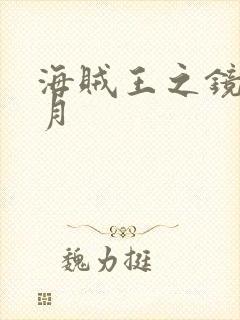 海贼王之镜花水月