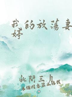 我的放荡妻子苏婷