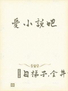 爱小说吧