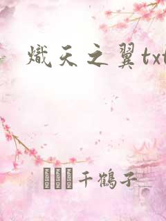 炽天之翼txt