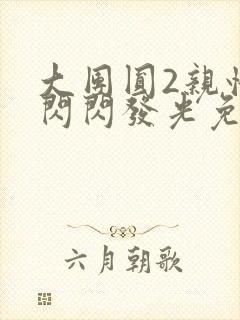 大团圆2亲情会闪闪发光免费