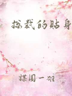 总裁的贴身玩宠