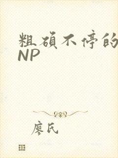 粗硕不停的进出NP