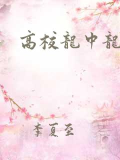 高校龙中龙