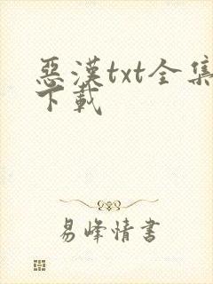 恶汉txt全集下载