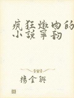 疯狂炖肉的全部小说宁韵