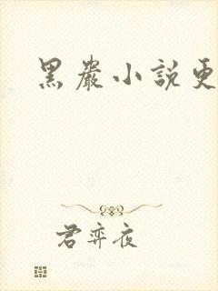 黑岩小说更新吧