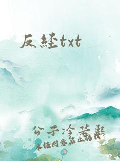 反经txt