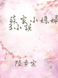 苏家小媳妇1V3小说