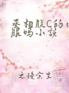 丞相朕C的你舒服吗小说