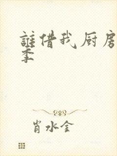 谁借我厨房第二季