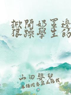 掀开奶罩边躁狠狠躁学生的小文字