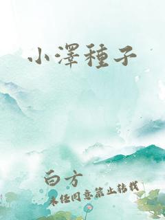 小泽种子