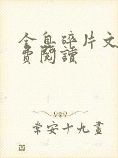 全息碎片文轩免费阅读