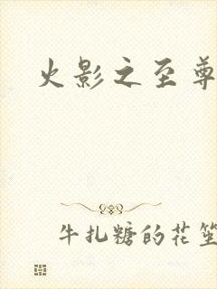 火影之至尊邪帝