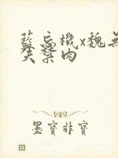 蓝忘机x魏无羡失禁肉