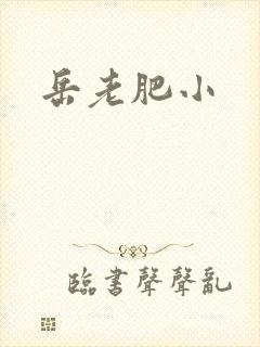 岳老肥小