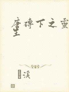 唐砖下之灵域双生