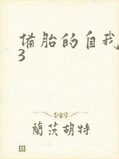 备胎的自我修养3