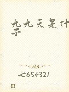九九天是什么日子