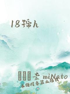 18号h