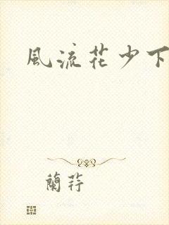 风流花少下载