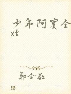 少年阿宾全集txt