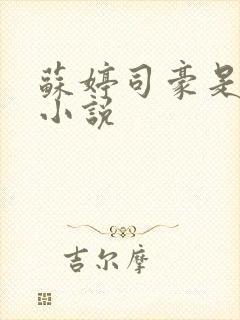 苏婷司豪是什么小说