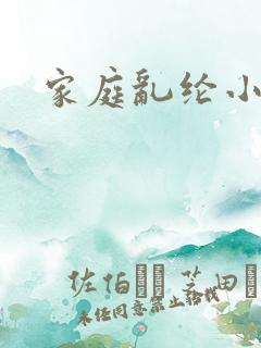 家庭乱纶小说