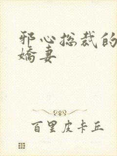 邪心总裁的纯情娇妻