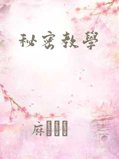 秘密教学