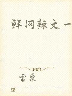鲜网辣文一对一