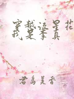 穿越流星花园之我是李真