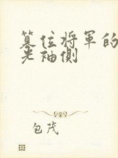 篡位将军的白月光袖侧