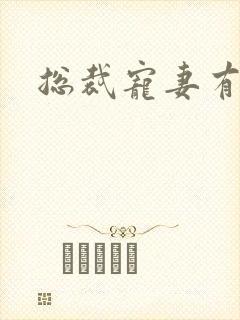 总裁宠妻有点忙