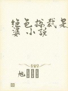 绝色总裁是我老婆 小说