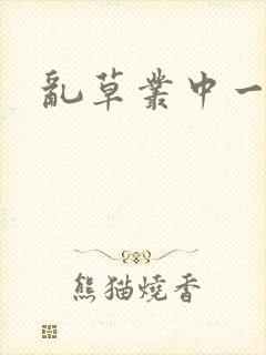 乱草丛中一杆枪