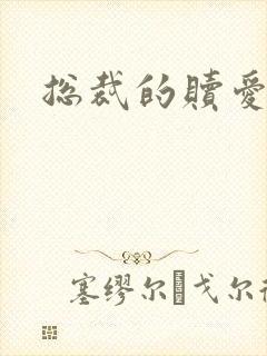 总裁的赎爱宝贝