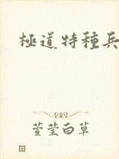 极道特种兵