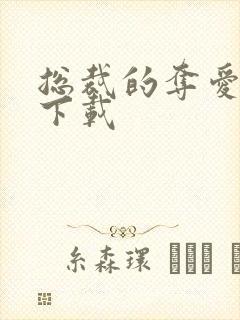 总裁的夺爱游戏下载