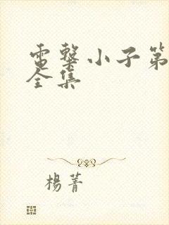 电击小子第二部全集