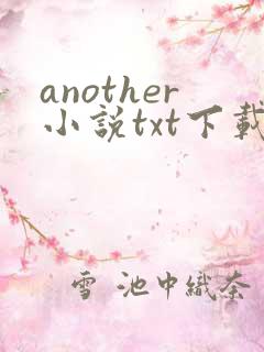 another小说txt下载
