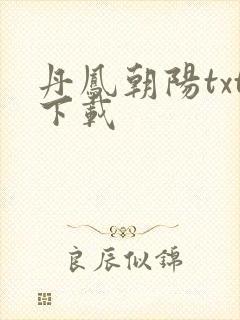丹凤朝阳txt下载
