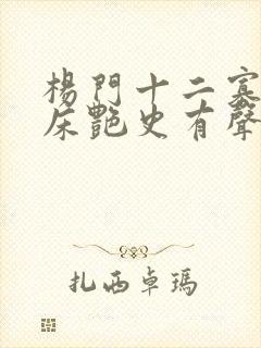 杨门十二寡妇肉床艳史有声小说