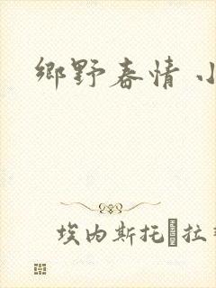 乡野春情 小说