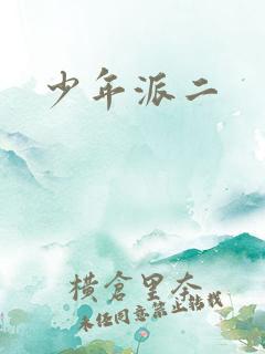 少年派二