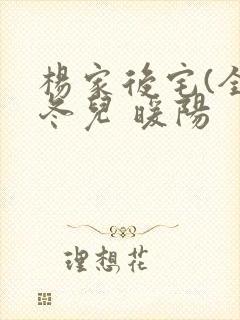 杨家后宅(全)冬儿 暖阳