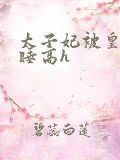 太子妃被皇上强睡高h