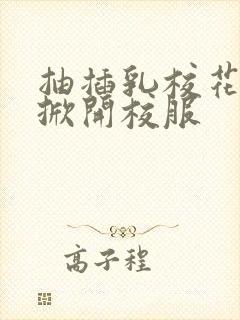 抽插乳校花老师掀开校服